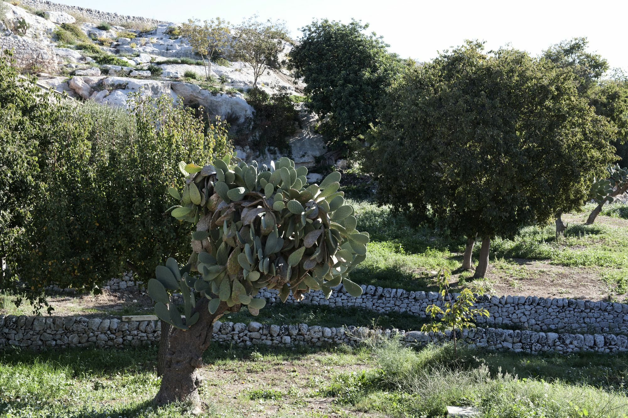 Valle Dell'Acanto Modica Bagian luar foto