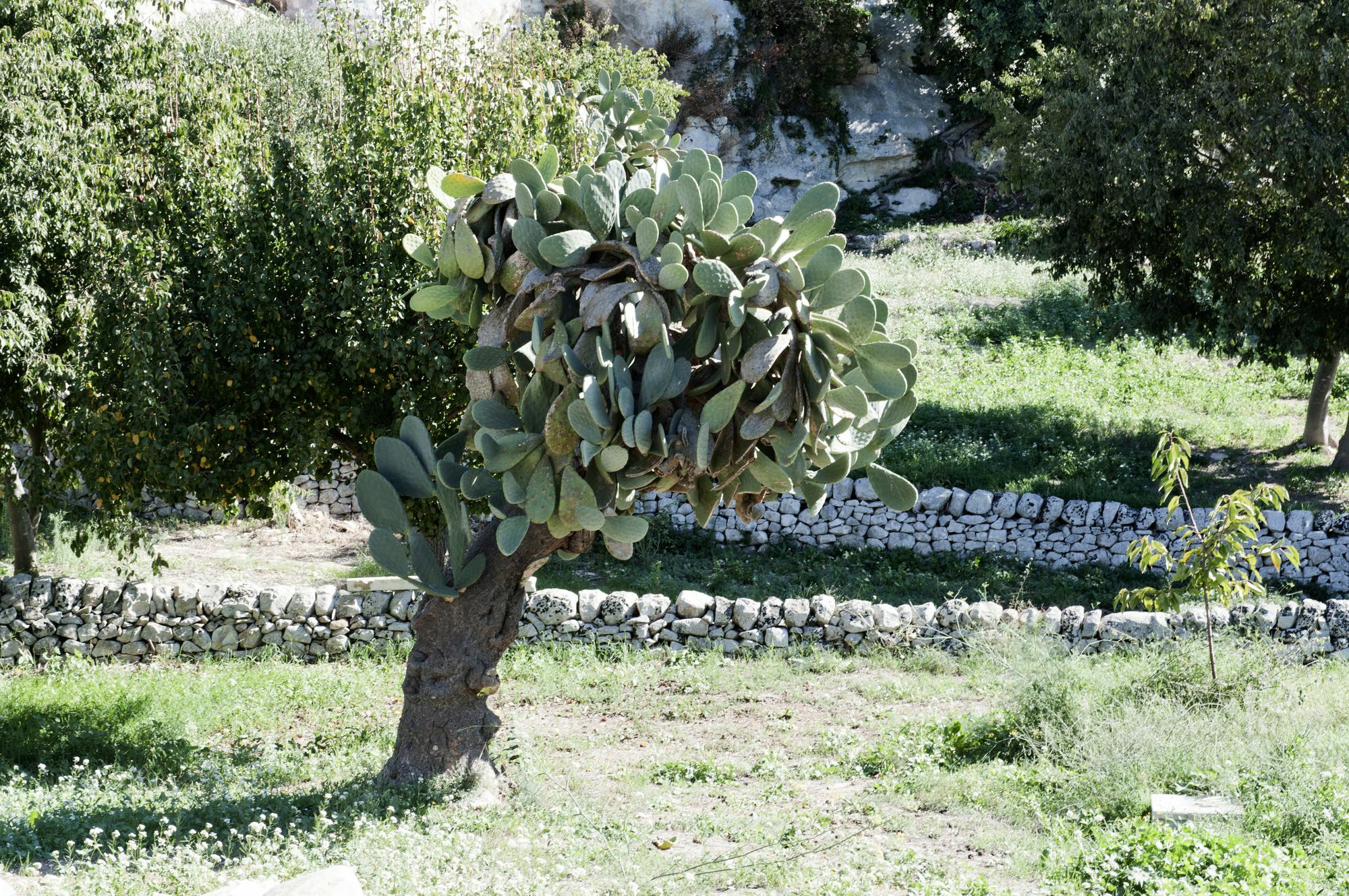 Valle Dell'Acanto Modica Bagian luar foto